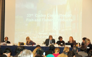 Đồng thuận cao tại Hội nghị Codex quốc tế về Cá và Sản phẩm thuỷ sản