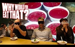 Chuyện những người không sợ dịch cúm gia cầm