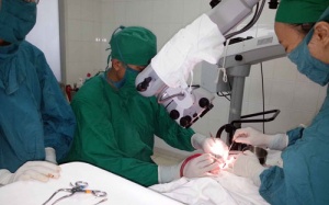 Ứng dụng san hô sinh học trong điều trị viêm tai giữa