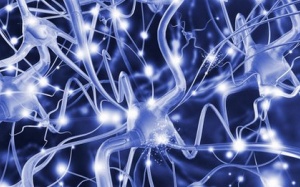 Nguy cơ đa xơ cứng từ bệnh béo phì và thuốc tránh thai