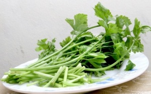 Những thực phẩm tốt cho răng miệng