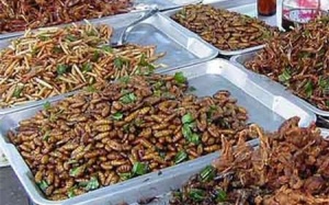 Những thực phẩm của tương lai