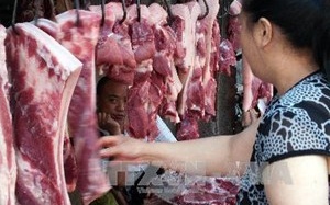 Trung Quốc cấm thịt lợn từ Ba Lan vì lo ngại dịch ASF