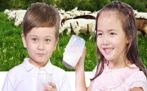 Sữa dê có thực tốt???