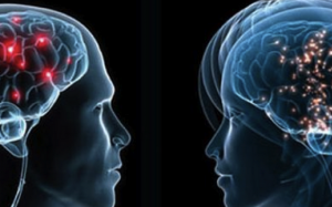 Mỹ đầu tư vào dự án miếng cấy ghép não