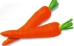 Ăn gì để giải độc?