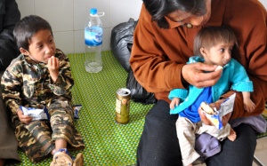 Lập công trình nghiên cứu hội chứng Seckel