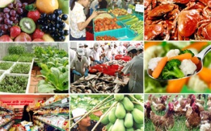 Hơn 50% cơ sở sai phạm trong quản lý an toàn thực phẩm