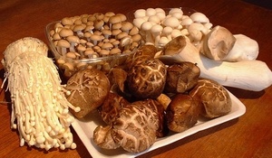 Công bố kết quả xét nghiệm nấm ăn tại Hà Nội