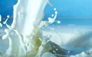 Bộ Tài chính thanh tra 5 doanh nghiệp sữa