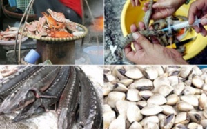 Thủy sản tươi ngon vì... nhiễm độc
