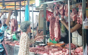 Hà Nội trang bị 200 máy kiểm tra thực phẩm cho cán bộ thú y