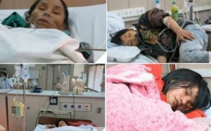 Thái Nguyên: 5 người ngộ độc nấm nguy kịch