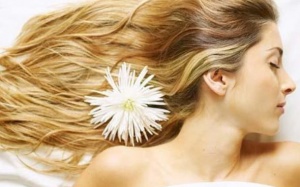 Trị gàu hiệu quả tại nhà