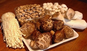 Cách đơn giản nhận biết nấm độc