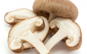 Cục ATTP đề nghị các tỉnh 'lưu tâm' ngộ độc nấm