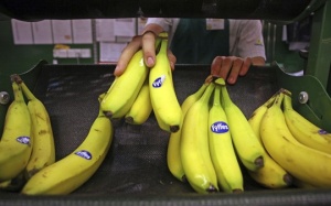 Công ty bán chuối trị giá... 1 tỷ USD
