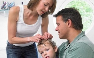 Thời hiện đại, vẫn khổ vì... chấy