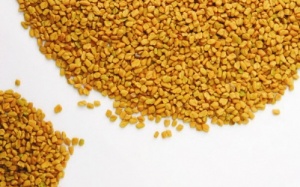 Những công dụng nổi trội của hạt Methi