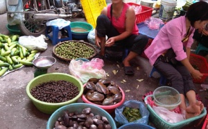 Vụ “Thủy sản Hà Nội nhiễm kim loại nặng”: Cục ATTP vào cuộc