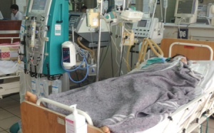 Bệnh nhân ngộ độc nấm có thể phải ghép gan