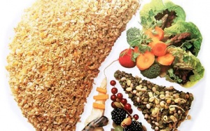 Ăn không chỉ để làm no...