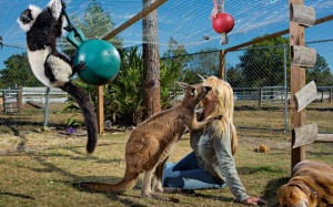 Nuôi 'nguy hiểm' trong nhà