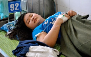 6 người nhập viện vì ong đốt