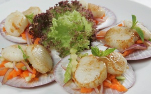 Món ngon từ sò điệp