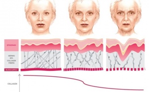 Collagen làm đẹp da: Từ quảng cáo đến thực tế
