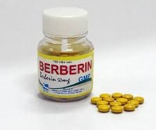 Thai phụ không được dùng berberin!