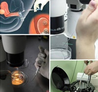 Các bước thụ tinh ống nghiệm