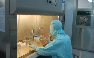 Ứng dụng tế bào gốc vào điều trị