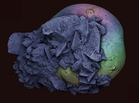 Nhìn từ thế giới khác