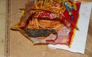 Đình chỉ công ty sản xuất bim bim có chuột chết