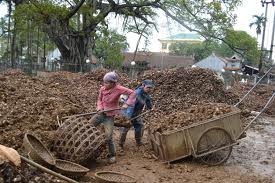 Làng miến 'bẩn' Hà Nội: Chỉ bán... không ăn