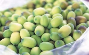 Những bài thuốc trị chứng mất ngủ đặc biệt công hiệu