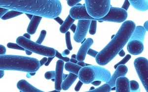 Probiotic không có tác dụng chữa đau bụng trẻ