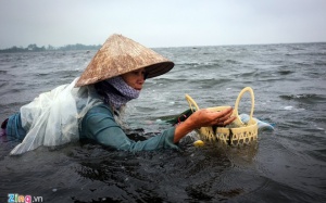 Những người dậm trìa trên Phá Tam Giang