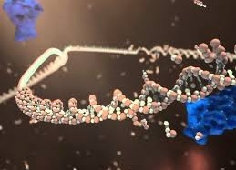 Hy vọng mới cho bệnh nhân ung thư