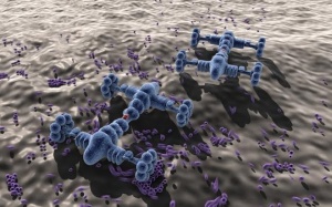 Cấy nanobot vào gián để thử nghiệm điều trị khối u