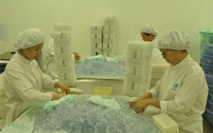 530 mặt hàng và 12 DN dược tham gia chương trình bình ổn giá thuốc