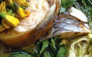 Cá cóc - mỹ ngư mắc đọa?