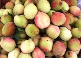 Những hoa quả không nên ăn nhiều trong mùa hè