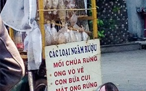 'Sung dược' chốn phòng the bán đầy đường