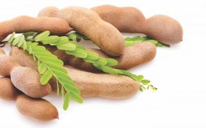 Trái me: không chỉ khoái khẩu mà còn