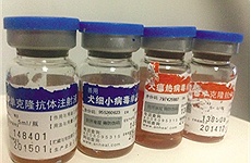 Trung Quốc: Lại sốt chuyện 'thần dược' hồi sinh chó bệnh