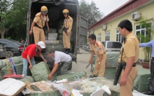 Hà Nội: Bắt xe tải vận chuyển cá thối chuẩn bị tung ra thị trường