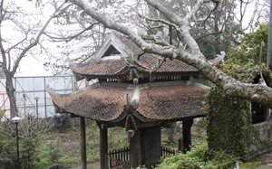 Bảo vật quốc gia chưa làm lễ công nhận đã bị huỷ hoại