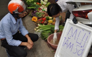 Đổ xô mua hạt mùi già để phòng bệnh sởi